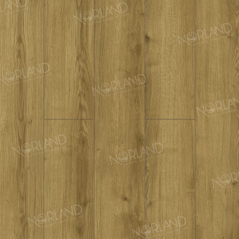 LF302-17 Дуб Фанэн