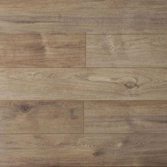 16146 Дуб Фигуардо