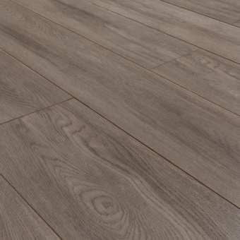 2581 Дуб Королевский