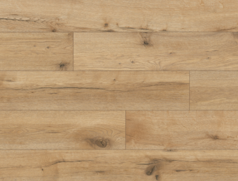 54852 Дуб Патос