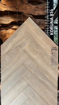 814 Дуб Крумлов