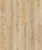2987 Дуб Ретушированный