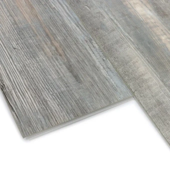 Сосна Монблан 