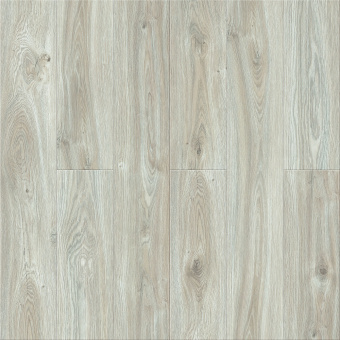 Дуб Муривай