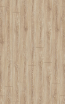 4164 Дуб деревенский