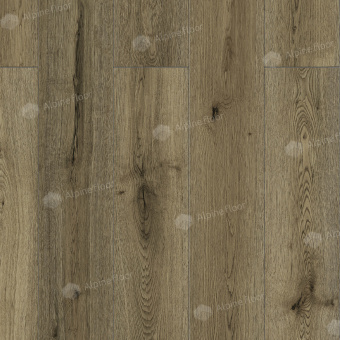 LF100-22 Дуб Эмполи