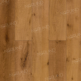 LF302-13 Дуб Помона