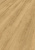 D40792 Дуб Тахо