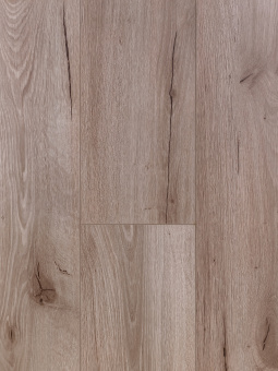 2346 Дуб Палау