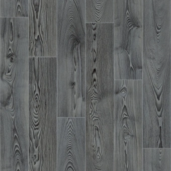 ФАВОРИТ CARTER 1;  CARTER 4