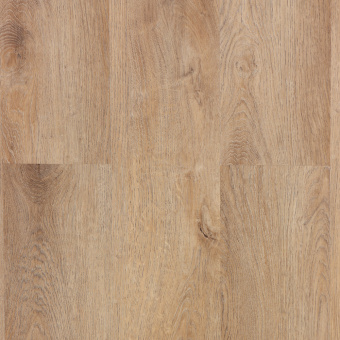 Дуб Бремен ZH-82021-7