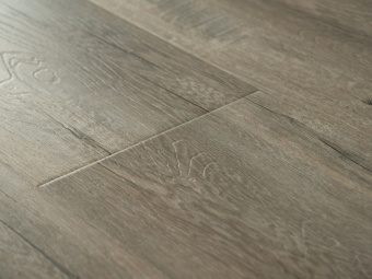 2414 Дуб Серый 