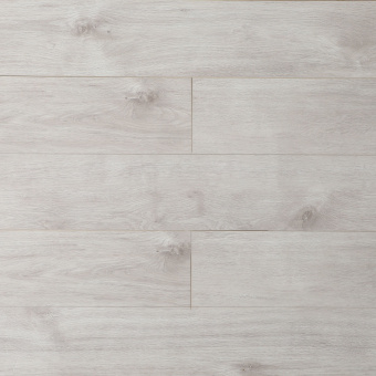 16149 Дуб Соломон