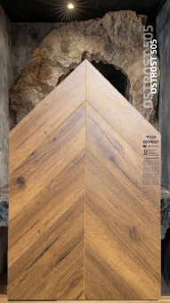 505 Дуб Липталь