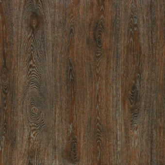 IDYLLE NOVA  TANGO 3; TANGO 4