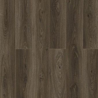 59767 Дуб Пуна