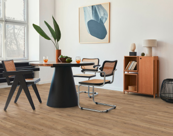 D3668 Дуб Неброский