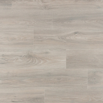 IM8471 Дуб Северное сияние