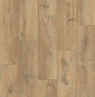 UWH 8635 Дуб древний тис