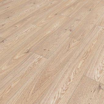 NC82 Дуб Хантер