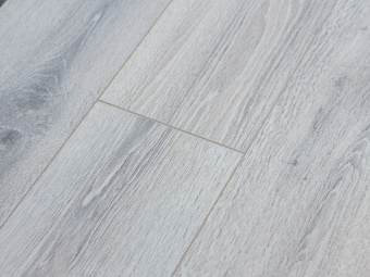 Дуб Норвежский