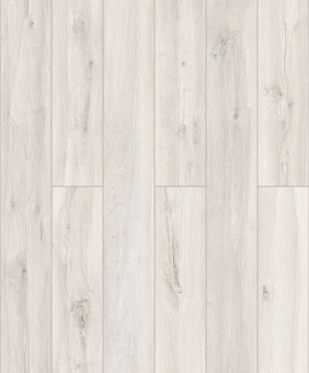 50217 Дуб Оливер