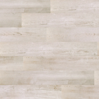 4376 Сосна Гризли