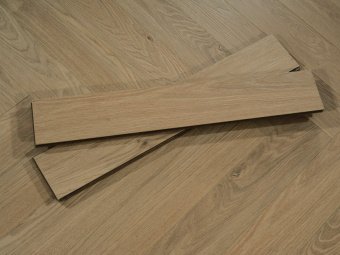 514 Дуб Лестер