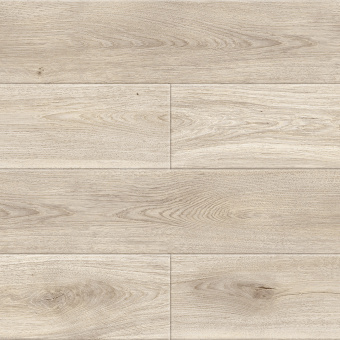 50867 Дуб Лаудер