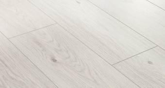 BLA004 Дуб Зигфрид