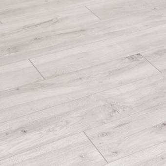 ID81 Дуб Вояж