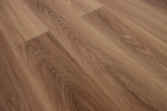 Дуб Шоколадный