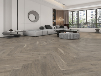 519 Дуб Оксфорд