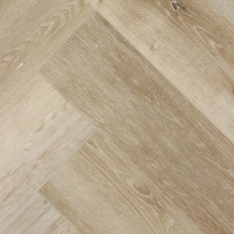  Дуб Ренн H014