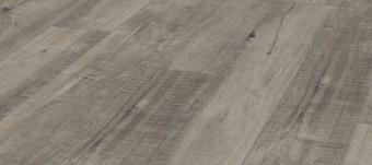 4786 Дуб Гала серый