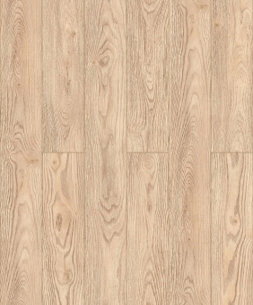 D51047 Дуб Сальва