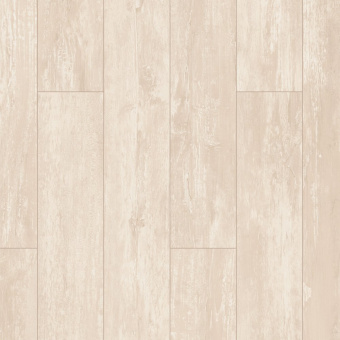 ID69 Олива Галатея