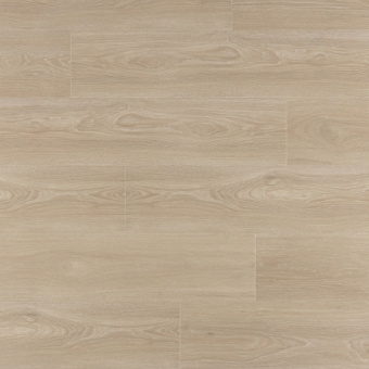 IM8472 Дуб Рассветный