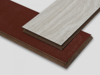 303 Дуб Батист