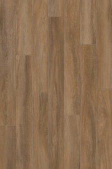 CFF 502 Дуб Барбарис