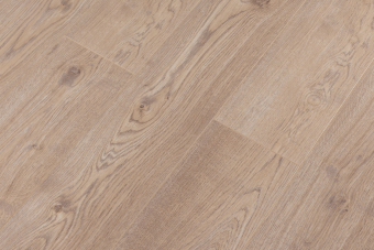 LM31 Дуб Бари