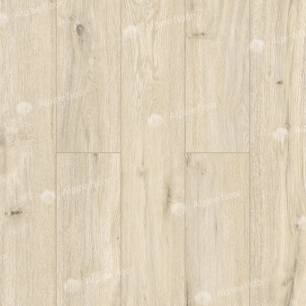 LF100-02 Дуб Салерно