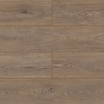 50757 Дуб Герберт