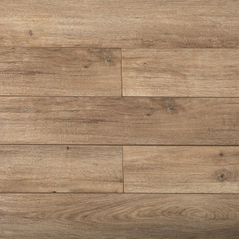 16145 Дуб Перфекто