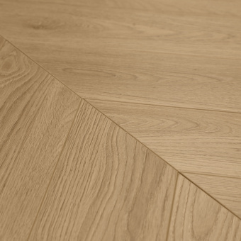 Дуб Элефант