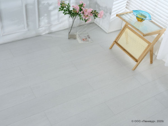 811 Дуб Белый