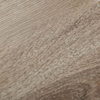 16147 Дуб Черчиль