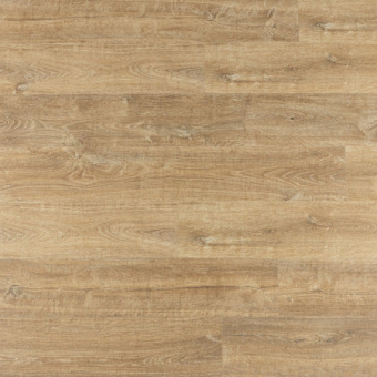 U3578 Дуб природный натуральный