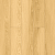 LF305-07 Дуб Тавора