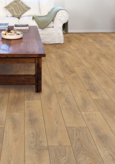 8573 Дуб Харлех